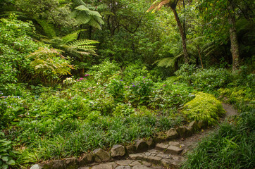 Wellington New Zealand