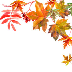 Autumn leaves and branches on white background greeting card for all prints.