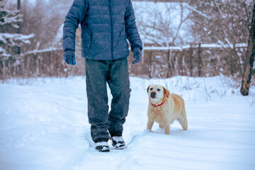 A man with a dog walking in the countryside in snowy winter
