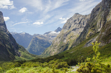 Obraz premium New Zealand Milford Sound