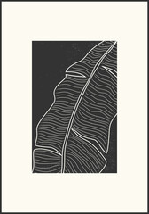 Minimalist botanical line art with banana palm leaves, abstract collage