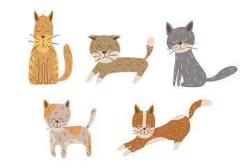 Vector illustration of set of gray cat with crown in different poses. Cute cartoon cats character
