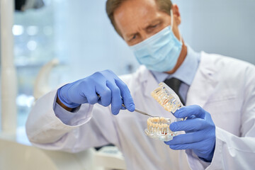 Hard-working dentist using dental pick for inspecting teeth model
