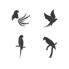 Parrot Logo Design Vector template
