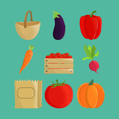 vegetables and eco friendly bag