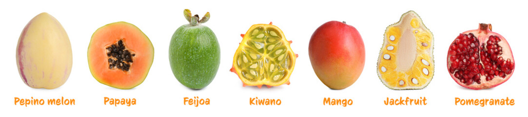 Set with different tasty exotic fruits on white background. Banner design