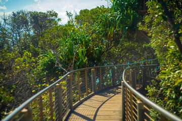 オーストラリアのゴールドコースト、バイロン・ベイ周辺の観光名所を旅行している風景 Scenes from a trip around Byron Bay, Gold Coast, Australia. 