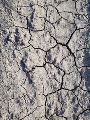 cracked earth texture