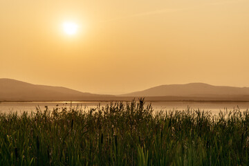 golden hour over the lake in summer