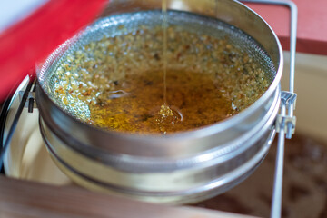 Drop of bee honey drip from hexagonal honeycombs