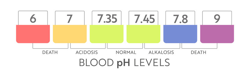 Human blood ph range. Medical illustration chart and scale. Acidic, Normal, Akaline diagram. - obrazy, fototapety, plakaty