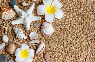 Summer vacation concept