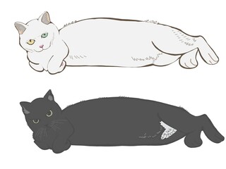 胴長キャット1