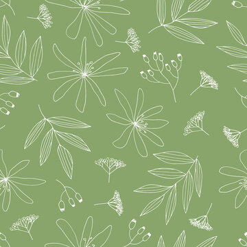 Vector seamless pattern of flowers clematis and tree branches. Contour image. Hand-drawn. Design of posters, postcards, invitations, design of weddings, holidays, decor.