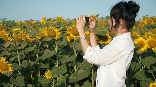 Young Woman Taking Pictures Photos on Smartphone of Sunflower Field. Female Agronomist Farmer Worker Inspect Crops Future Harvest. Summer Morning. 2x Slow motion 60fps 4K