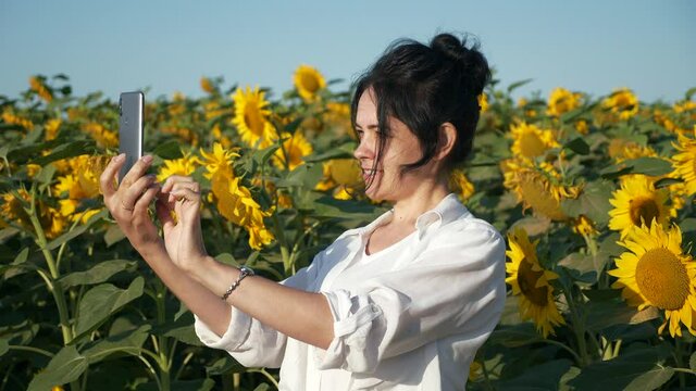 Pretty Woman Takes Selfie Pictures Photos on Smartphone near Sunflower Field. Young Beautiful Female Enjoy Nature Watch Look at Plants. Rural Country Summer Morning. 2x Slow motion 60fps 4K