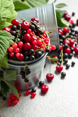 Cherries, red and black currants in a small metal bucket.