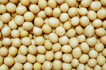 Closed up dry organic soybean seed background. Concept of healthy or diet food ingredient and agricultural product