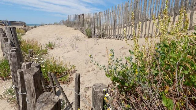 Paysage de bord de mer avec ses ganivelles ralentissant l'avanc&eacute;e des dunes de sable