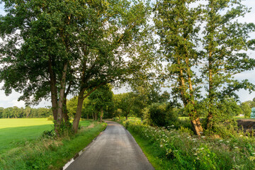 Dirt road outside of Loenen near Eerbeek in The Netherlands