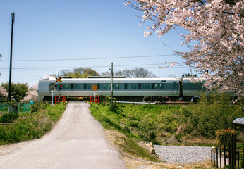 Naklejka premium 桜の花と踏切が見える田舎の鉄道風景