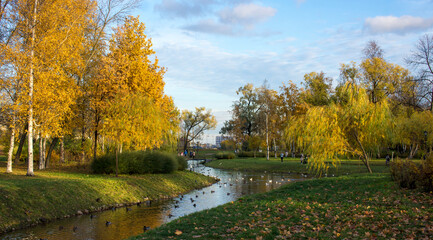 Landscape with a northern swamp in late autumn.