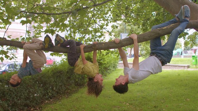 Children have fun in the city park, hanging from a tree branch with their older friend. Babysitting as a part-time job for a pedagogical student during vacations.