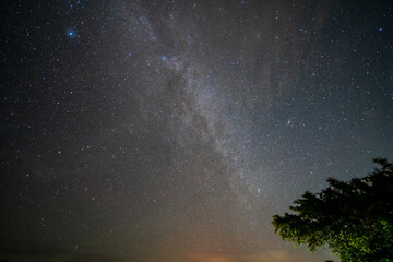 starry night sky
