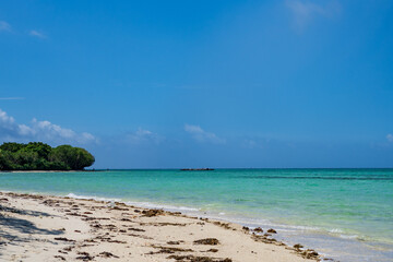Obraz premium beach with blue sky