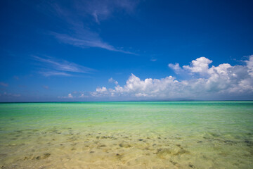 beach with blue sky