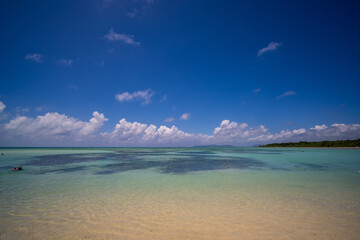 Obraz premium beach with blue sky