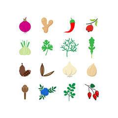 Herbs and spices icon set design illustration