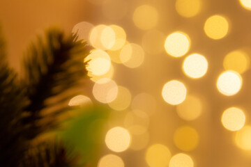 warm color background Bokeh background with pine trees for Christmas decorations. or New Year's Day