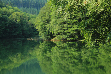 Reflejos sobre el agua,con un paisaje de montañas verdes.
