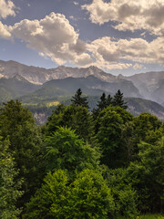 Wald mit hohen Bergen im Hintergrund 