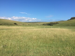 Fototapeta na wymiar field and blue sky in eastbourne