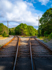 Two parallel rusted railway tracks diverging into the forest