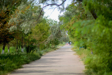 Streets of Baikonur