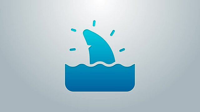 Blue line Shark fin in ocean wave icon isolated on grey background. 4K Video motion graphic animation