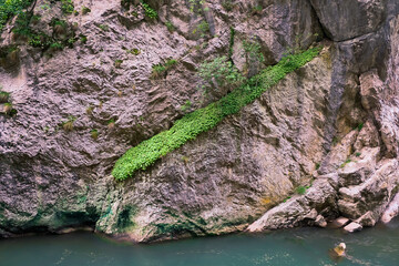 Amazing canyon with vertical cliffs, blue colored river water and green plants on the rocks