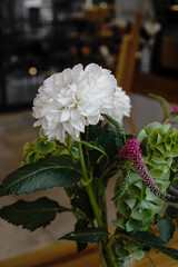 White chrysanthemum flower bud close up. Abstract floral background.