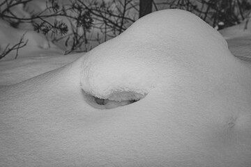 snow formation on tree stump or big rock in forest