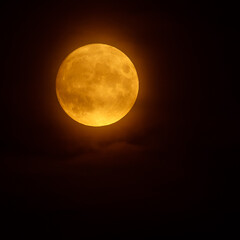 Obraz premium full moon in the night sky