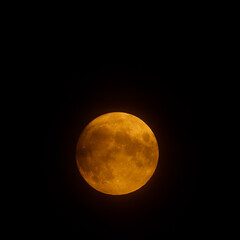 Obraz premium full moon in night sky