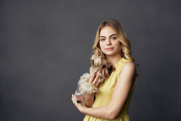 Fototapeta premium beautiful woman a small dog pet fun isolated background
