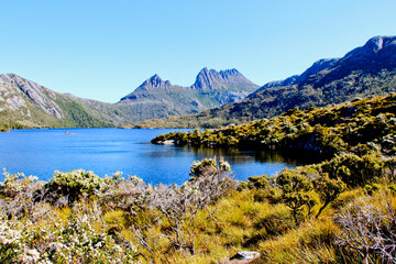 View of Cradle Mountain in the background with Dove Lake and native plants in the foreground. Tasmania Australia. No people, space for copy.