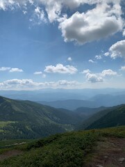 Naklejka premium landscape with sky