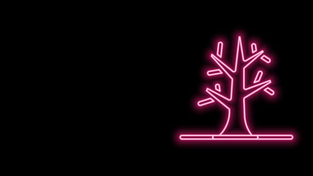 Glowing neon line Bare tree icon isolated on black background. 4K Video motion graphic animation