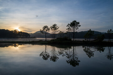 Obraz premium beauty scenery with pine island reflection on the fog lake at dawn
