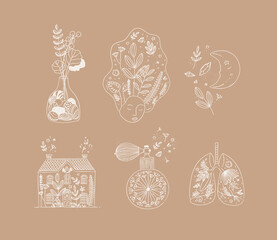Set of floral art icons in hand made line style vase of flowers, woman face, moon, house, perfume bottle, human lungs drawing on cocoa color background